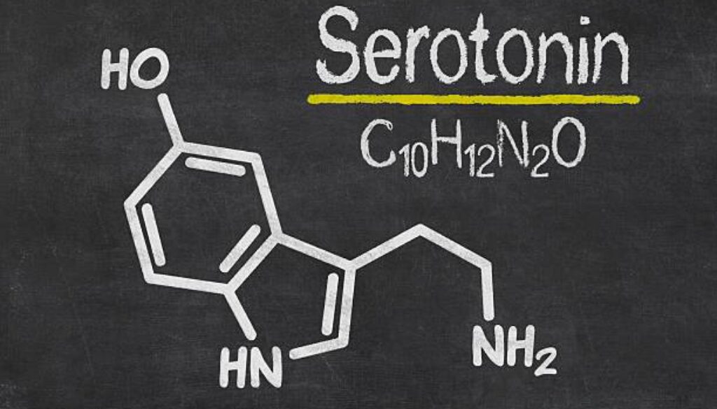 Serotonin